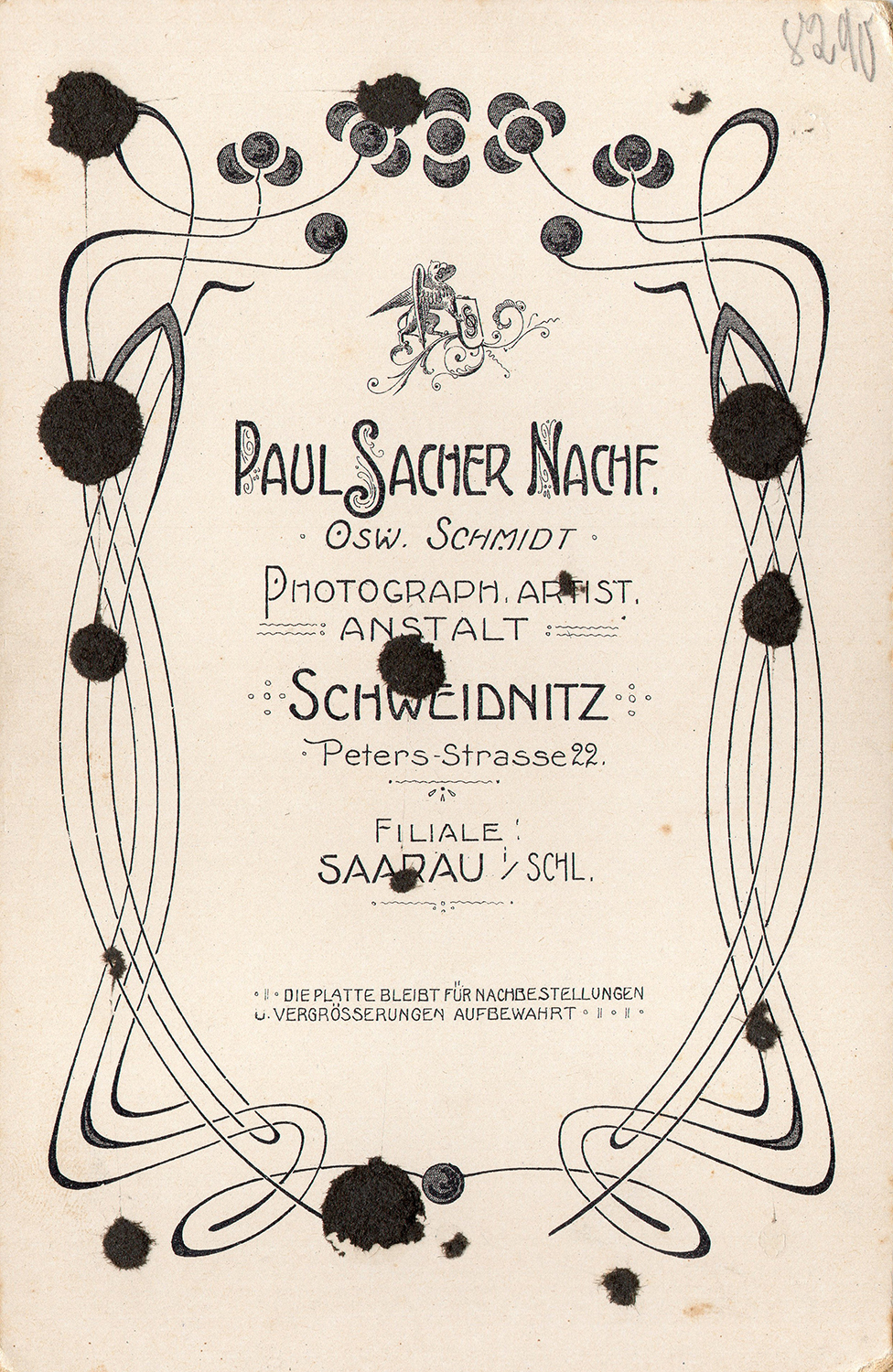 Fotografia CDV Paula Sachera Schweidnitz fil. Saarau ok. 1910 (2)