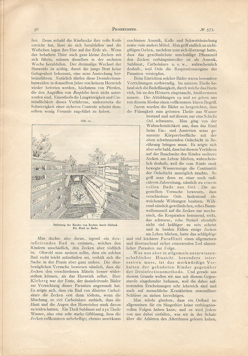 Gazeta Prometheus 1900 (4)
